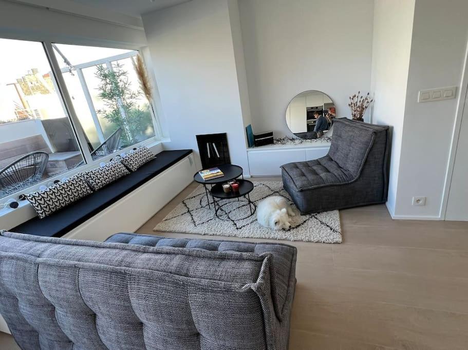 Appartement Beautiful Penthouse At 5min Of Place Knokke-Le-Zoute